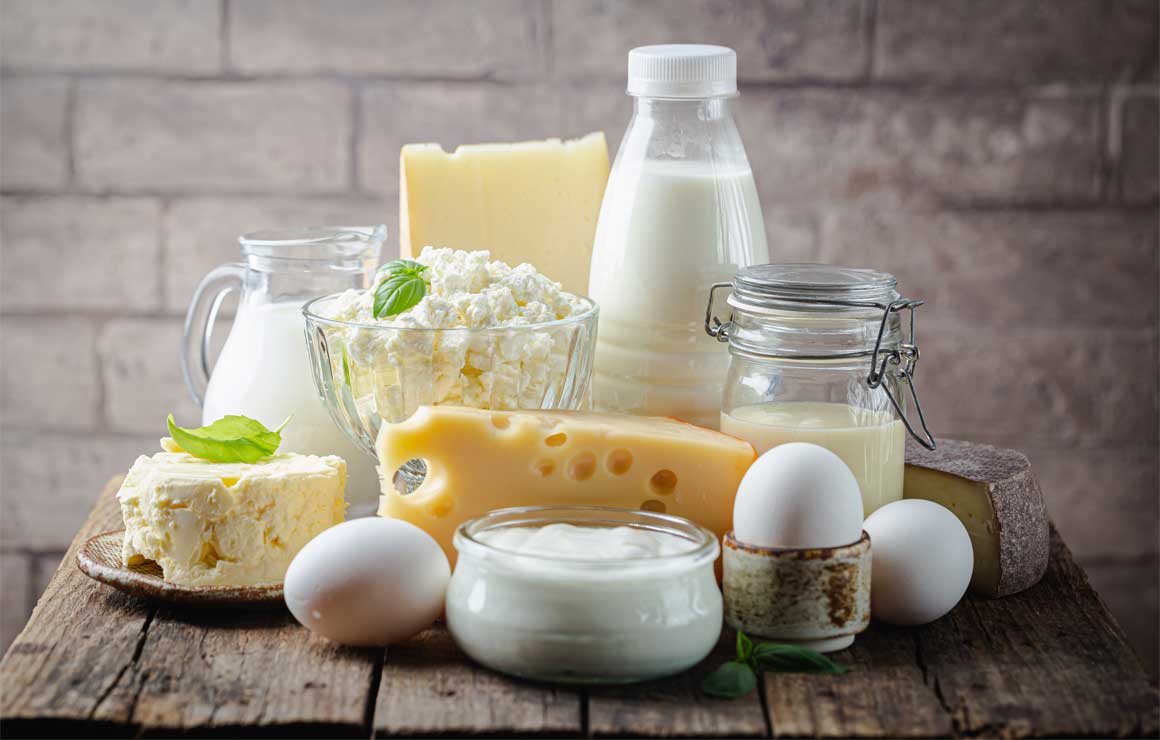 Dairy, Eggs and Cheese | Mayrand Plus 