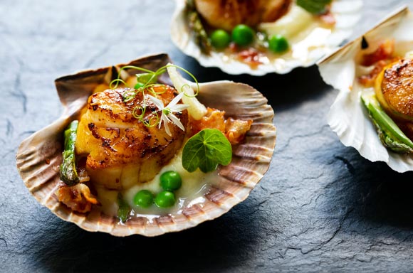 Scallops  by Oceanic Fisheries | Mayand Plus